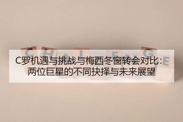 luo-ji-yu-yu-tiao-zhan-yu-mei-xi-dong-chuang-zhuan-hui-dui-bi-liang-wei-ju-xing-de-bu-tong-jue-ze-yu-wei-lai-zhan-wang-2-999.jpg